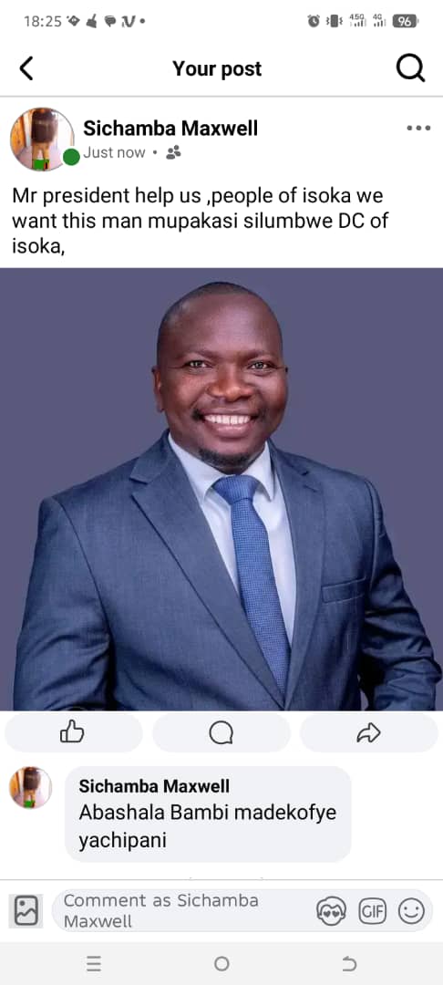 Winfred M Silumbwe